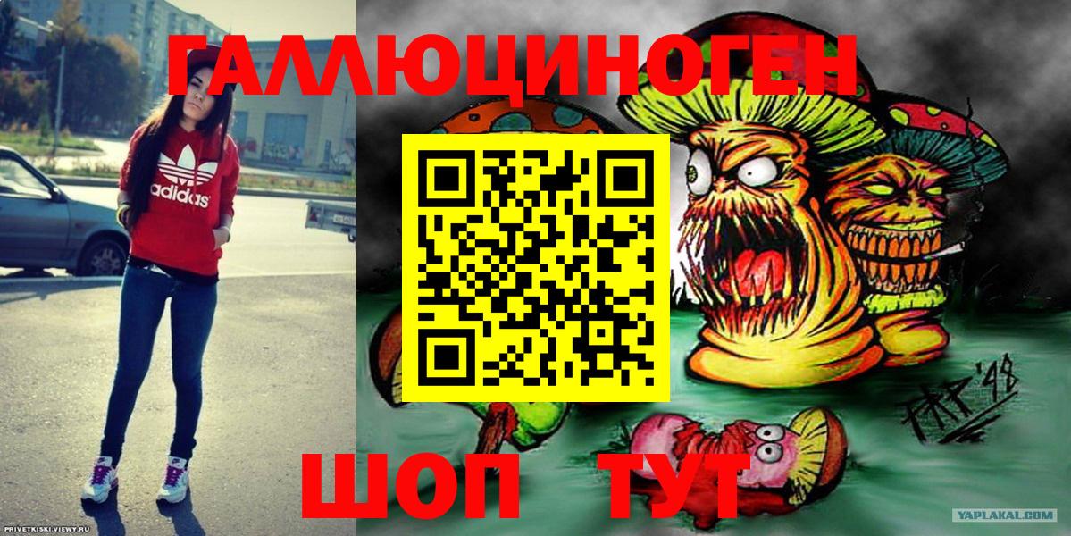 Псилоцибиновые грибы Psilocybine cubensis Елабуга