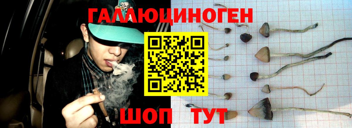 что такое наркотик  Псилоцибиновые грибы мицелий  Вход с VPN  Елабуга 